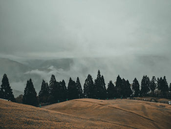 Panoramic view of field against sky