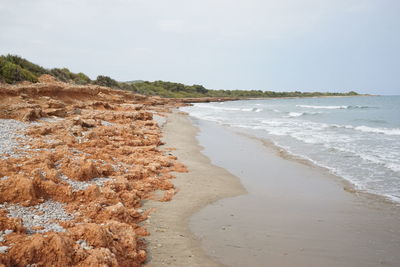 Scenic view of beach against sky