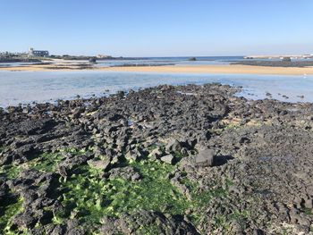 Scenic view of sea against clear sky