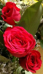 Close-up of rose bouquet