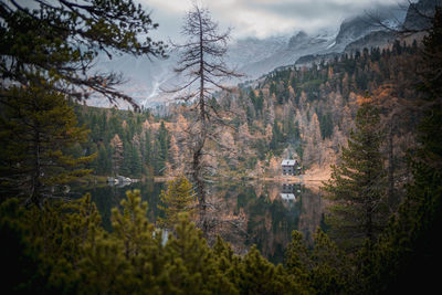 Cabin in the woods at mountain lake reedsee in the austrian alps in gastein in  moody fall colors