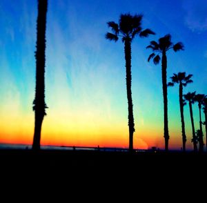 Silhouette of palm trees at sunset