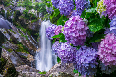 Close-up of waterfall on rocks