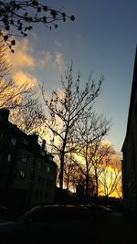 Low angle view of silhouette bare trees against sky