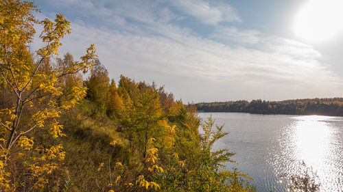 Plants by river against sky during autumn