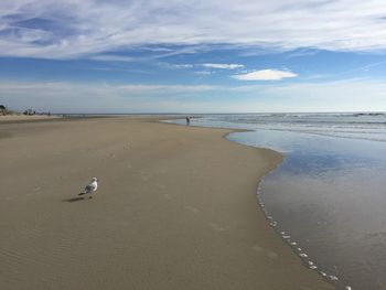 Scenic view of beach against cloudy sky