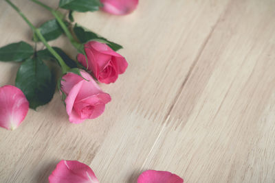 Close-up of pink roses