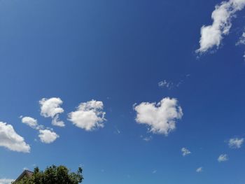 Low angle view of trees against blue sky