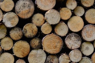 Full frame shot of logs