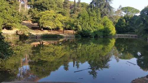 Scenic view of lake by trees against sky