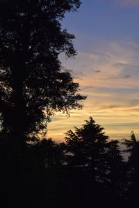 Silhouette trees against sky during sunset