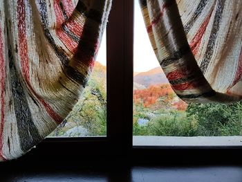 Close-up of trees seen through glass window