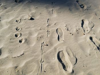 High angle view of footprints on sand at beach