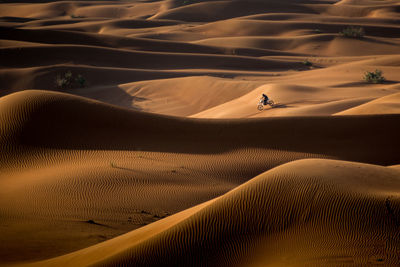 Scenic view of sand dunes in desert