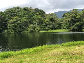 Scenic view of lake in forest against sky