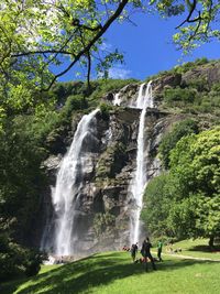 Scenic view of waterfall in forest