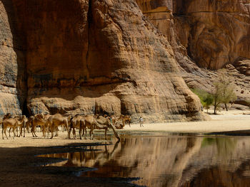 View of a lake with rock formations in background