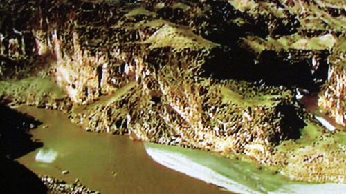 Reflection of trees in water