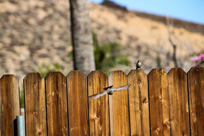 Close-up of wooden post on fence