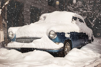 Close-up of an animal in snow