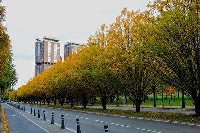 Trees by sidewalk in city against sky