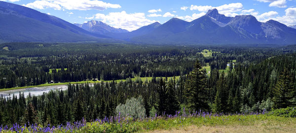 mountain