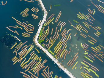 Aerial view of eco friendly jute processing field in natore, bangladesh