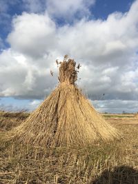 Hay on grass against sky