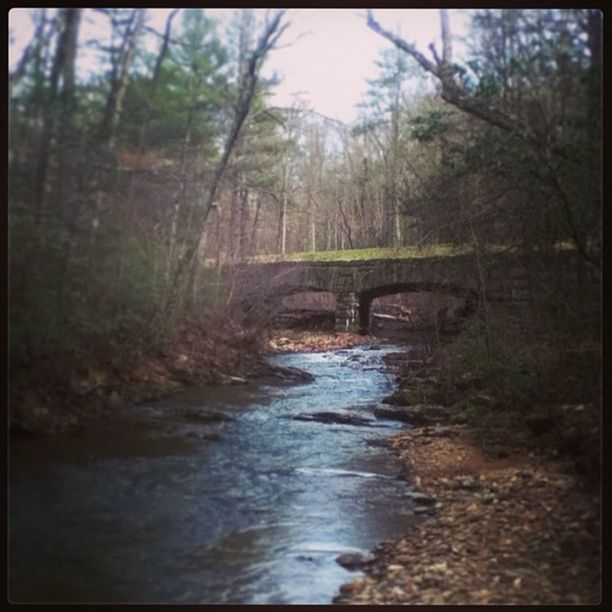 tree, transfer print, forest, water, stream, auto post production filter, connection, bridge - man made structure, tranquility, river, flowing, nature, flowing water, tranquil scene, bridge, the way forward, footbridge, scenics, built structure, beauty in nature