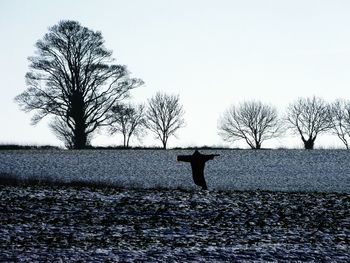 Bare trees on field against clear sky