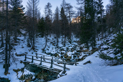 Amazing waterfall in amazing lanscape of trees in forest during winter