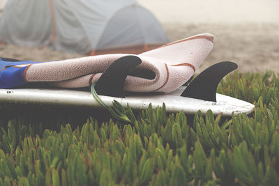 Low section of man relaxing on field