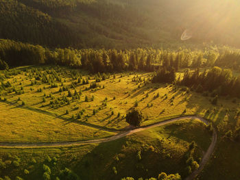 Aerial view of landscape