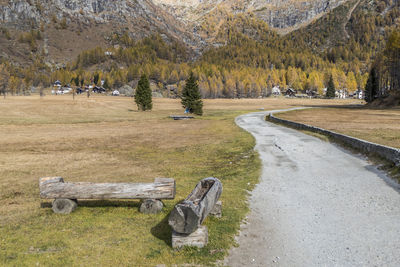 Scenic view of field against trees