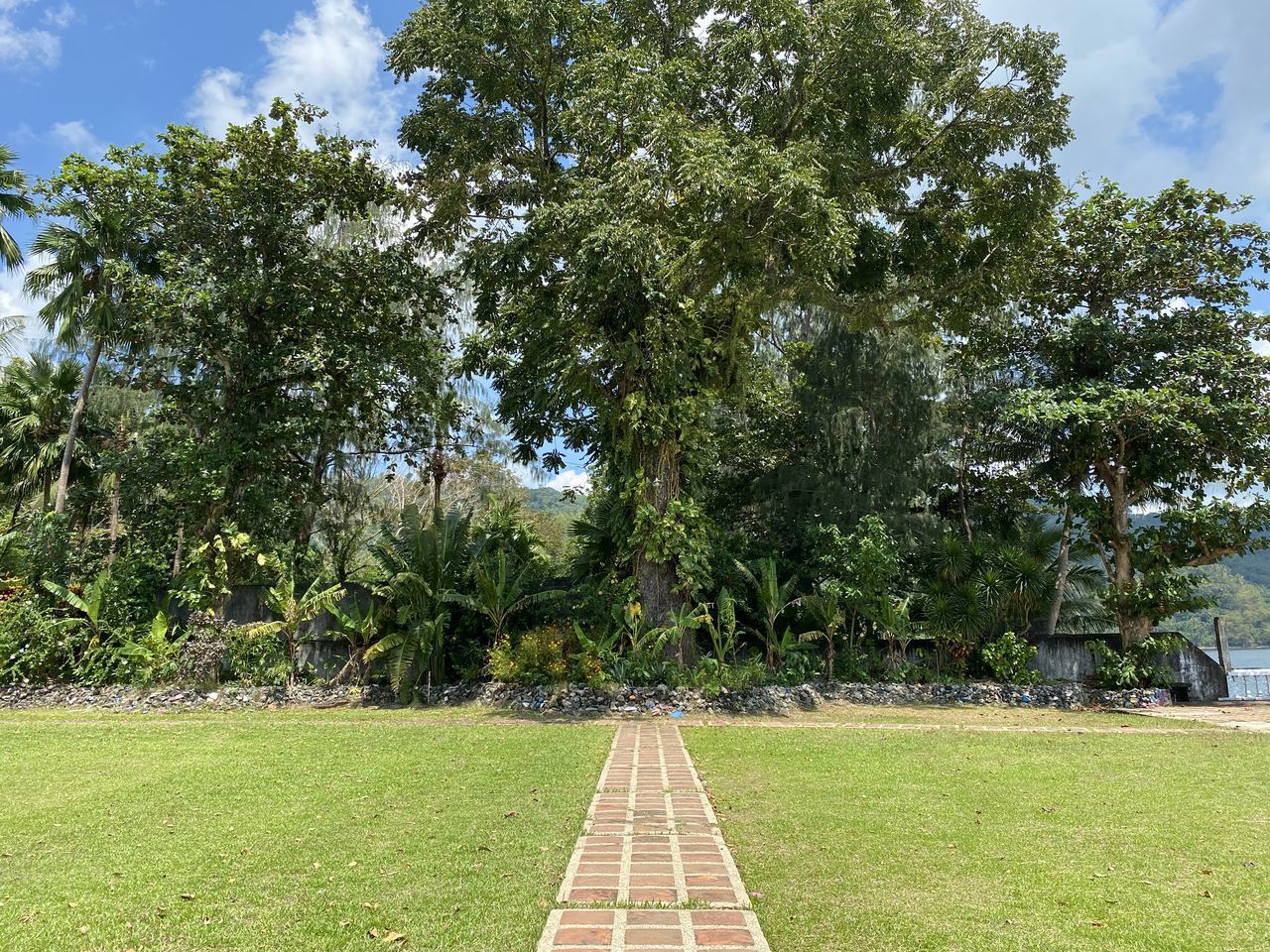 plant, tree, green, grass, nature, sky, growth, day, park, lawn, garden, estate, no people, cloud, beauty in nature, park - man made space, outdoors, footpath, tranquility, the way forward, sunlight, land, tranquil scene, scenics - nature, field, architecture