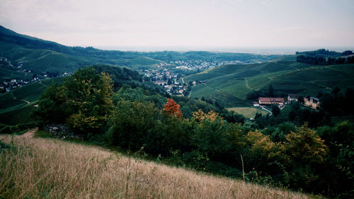 High angle view of trees and buildings against sky
