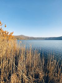 Scenic view of lake against clear sky