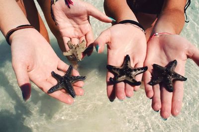 Cropped image of people holding starfish at beach