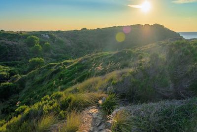 Scenic view of landscape against sky