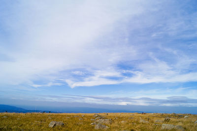 Scenic view of field against blue sky