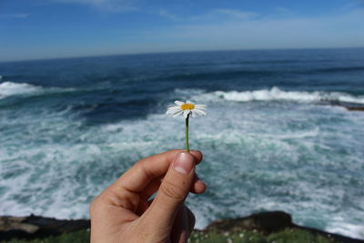 Close-up of hand holding plant at sea against sky