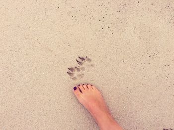 Low section of woman on sand at beach