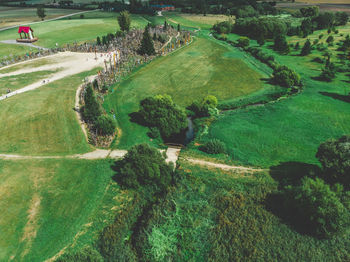 High angle view of agricultural field