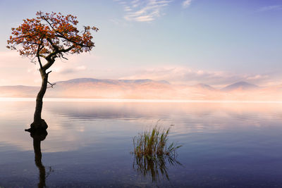 Scenic view of lake against sky at sunset