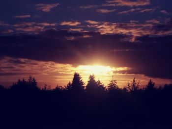 Silhouette trees in forest against sky at sunset
