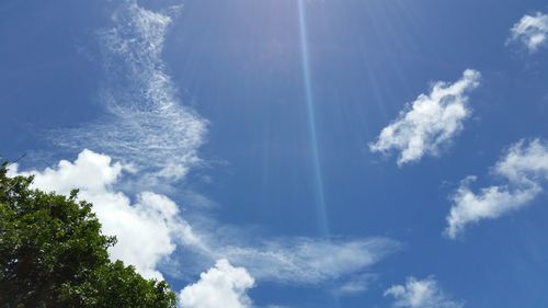 Low angle view of trees against blue sky