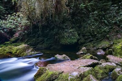 Stream flowing through rocks in forest