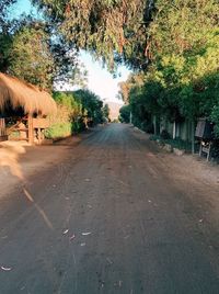 Empty road amidst trees in city