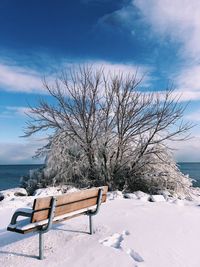 Bare tree on snow covered land against sky