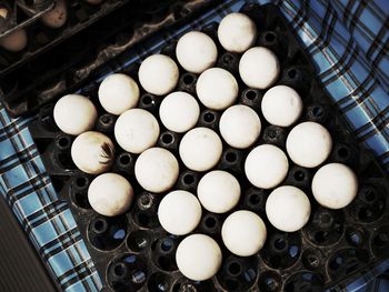 High angle view of eggs in container